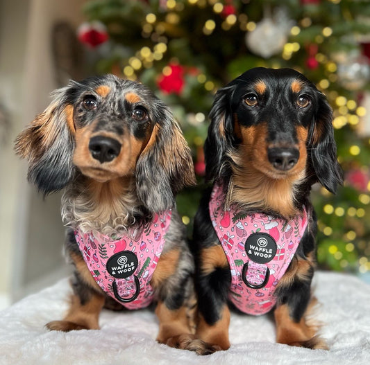 Pink Christmas Harness