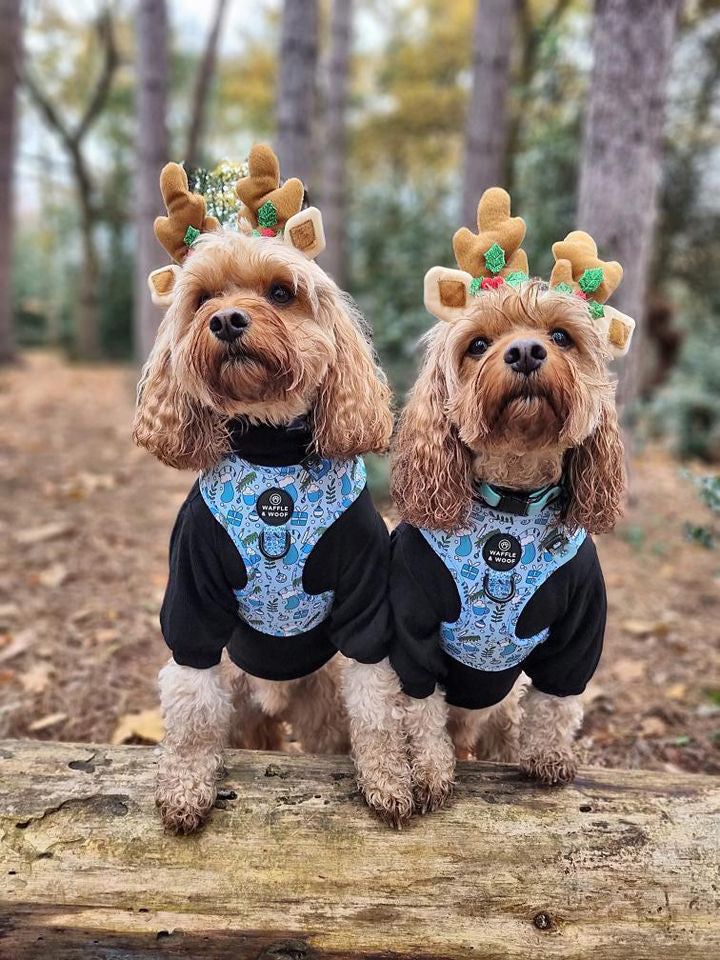 Blue Christmas Harness