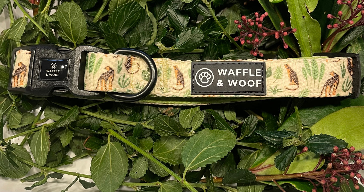 Jungle Pup Collar